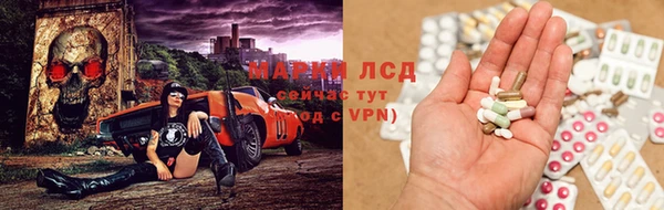 мяу мяу мука Магадан